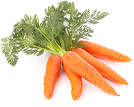 Начинка со вкусом «Морковь»